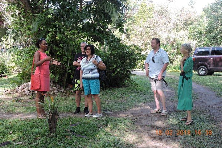 St Lucia Sunday's Tour