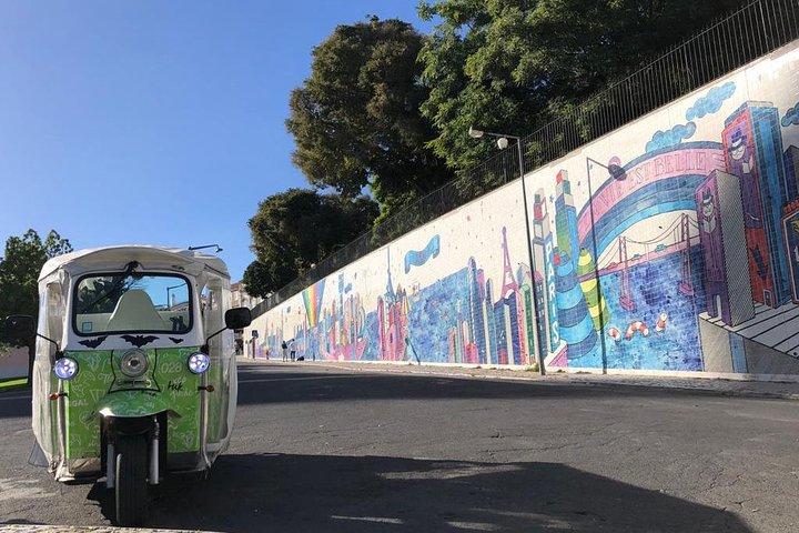 Private Lisbon Street Art Tuk Tuk Tour | Vhils, Bordalo II