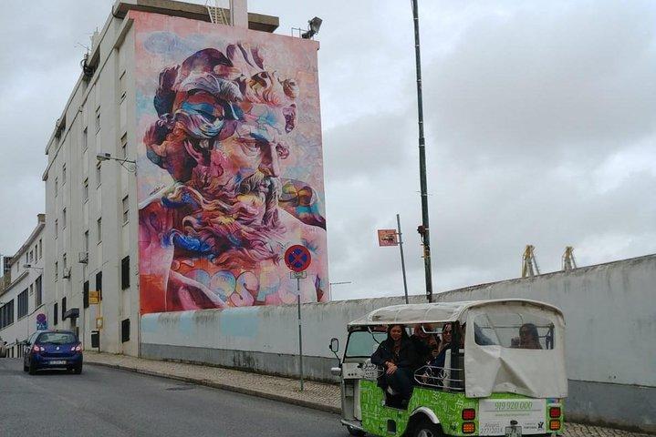 Private Lisbon Street Art Tuk Tuk Tour | Vhils, Bordalo II