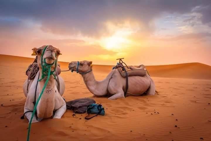 Private 3Days Desert Tour Marrakech To Merzouga Dunes, Camel Trek