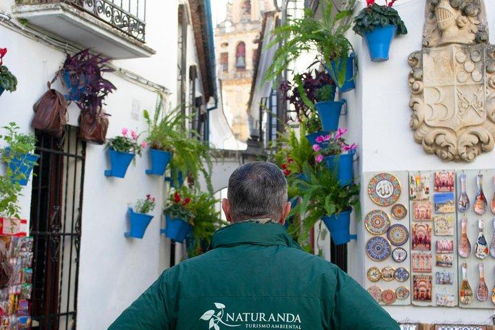 Cordoba Private Tour with Mosque Entrance from Seville