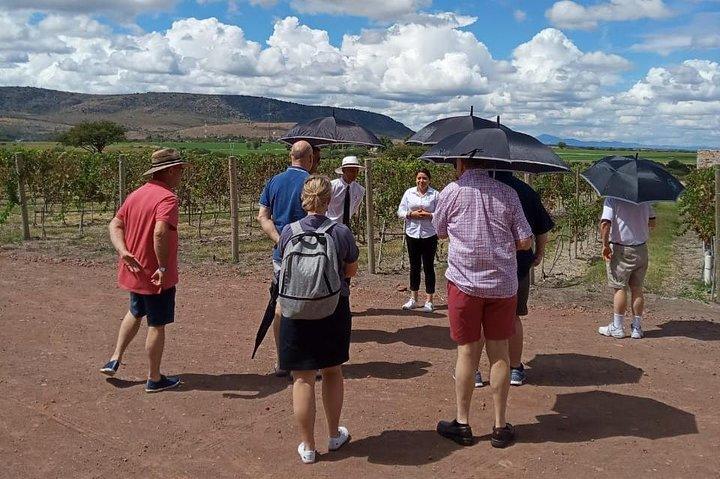 Local Vineyard Tour & Wine Tasting at the Independence Valley