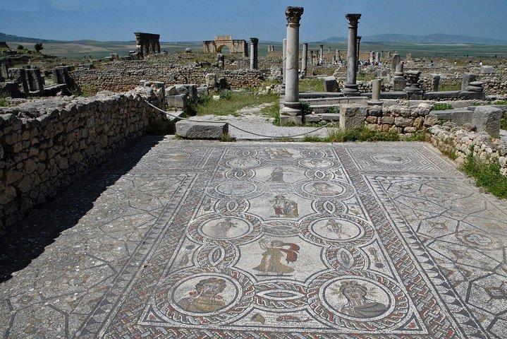 Volubilis and Meknes Day Trip from Fez
