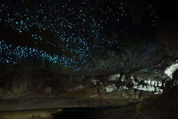 Private Waitomo Caves Tour - Auckland Tour House