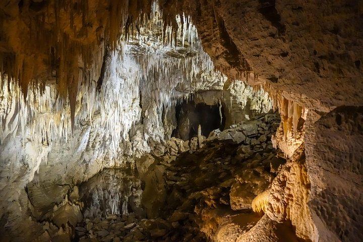 Private Waitomo Caves Tour - Auckland Tour House
