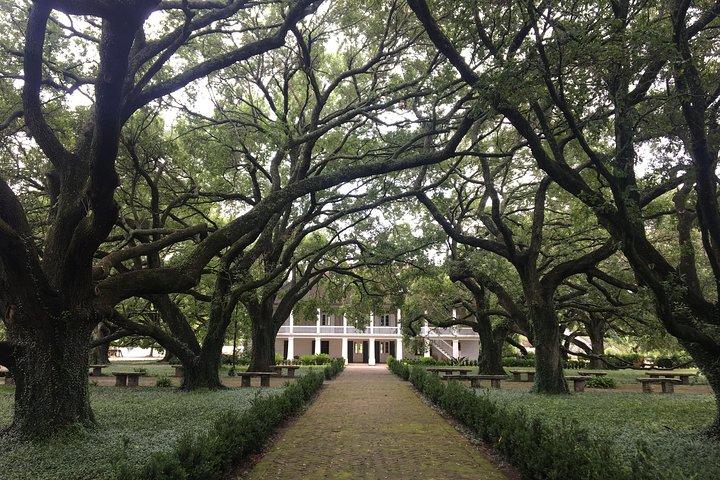 Whitney Plantation and Airboat Tour from New Orleans