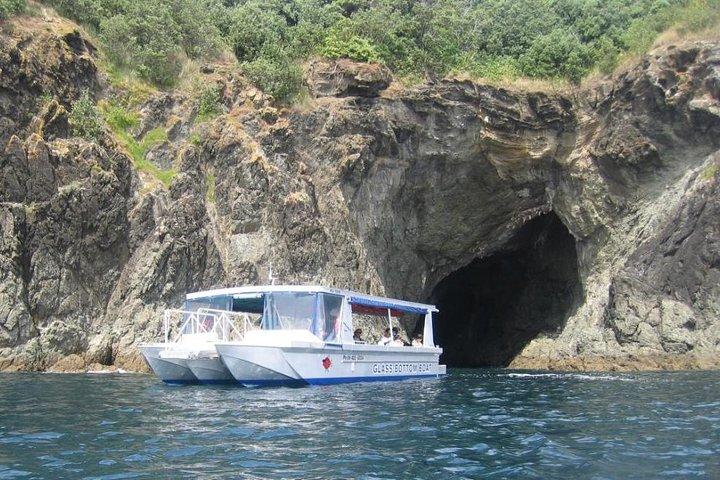 Glass Bottom Boat Tour