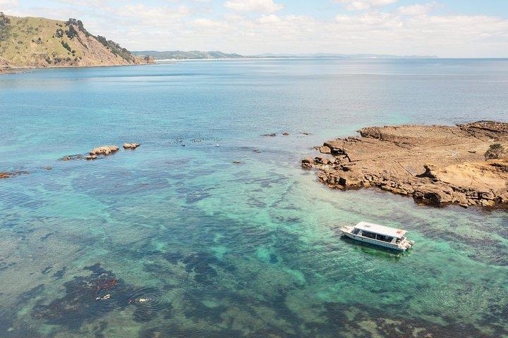 Glass Bottom Boat Tour
