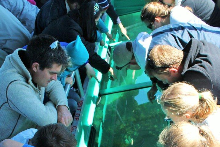 Glass Bottom Boat Tour