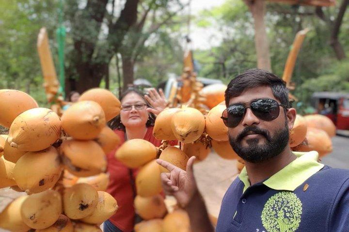 Day tour of Galle