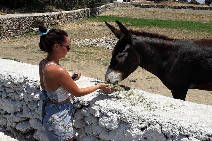 Grand Tour of Mykonos