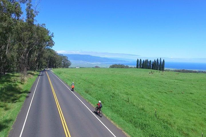 Haleakala Downhill Bike Tour Self-Guided Ride with Maui Sunriders