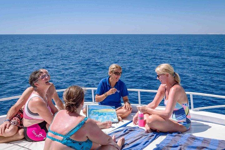 Overnight Trip To El Ain Sokhna Red Sea From Cairo