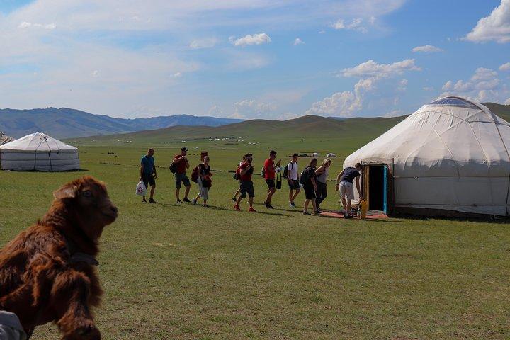 1 day Chinggis Statue, Terelj, Horse riding and Nomadic family