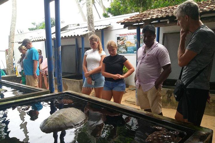 Galle sightseeing tour