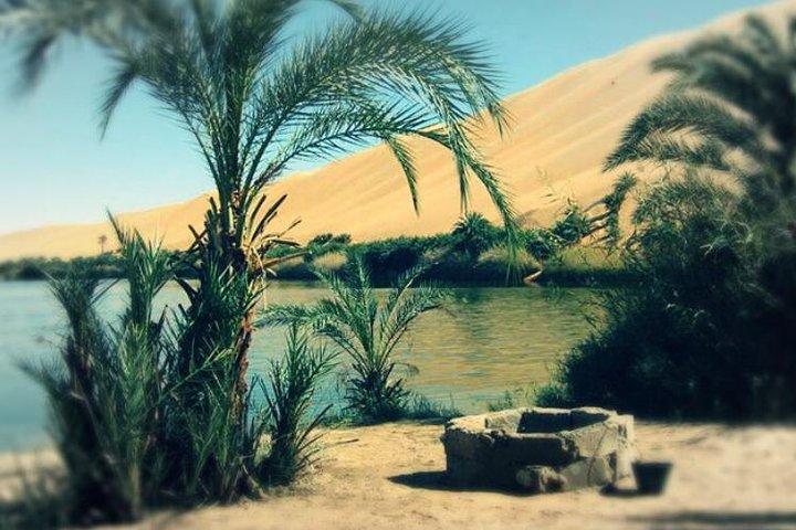 Desert Camping With The Bedouins Under The Stars - White & Black Deserts