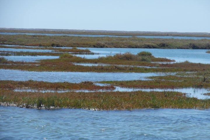 Faro Relax Tour on Solar Boat Ria Formosa