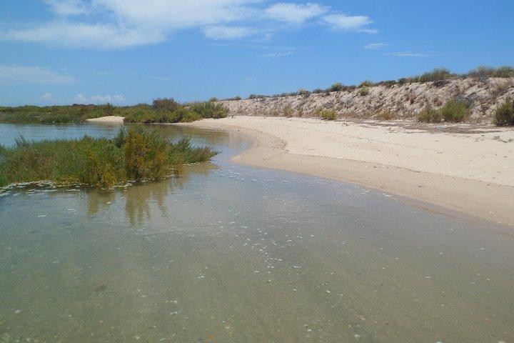 Faro Relax Tour on Solar Boat Ria Formosa