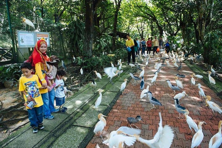 Bird Park & Butterfly Farm Nature Include All Entrance Tour From Kuala Lumpur