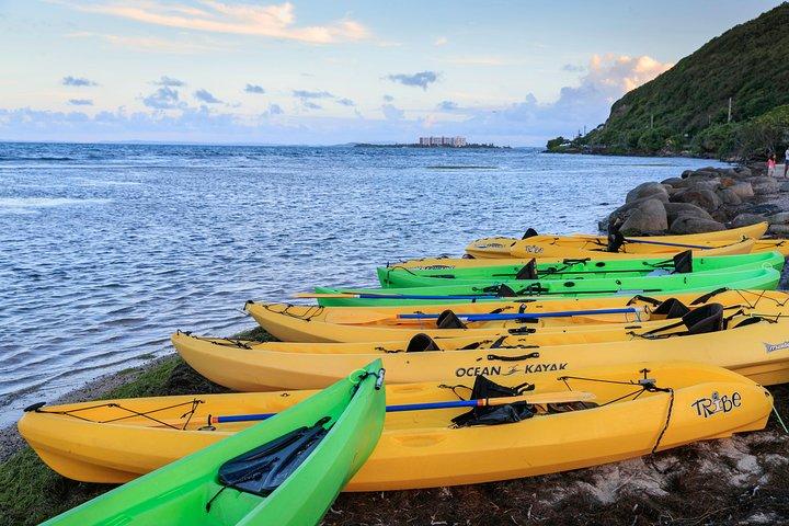 Night Kayaking Experience | Bioluminescent Lagoon in Fajardo 6pm
