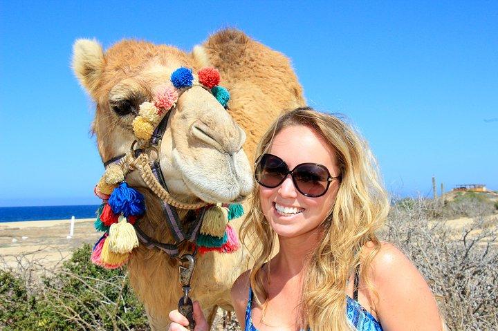 Outback Camel Ride