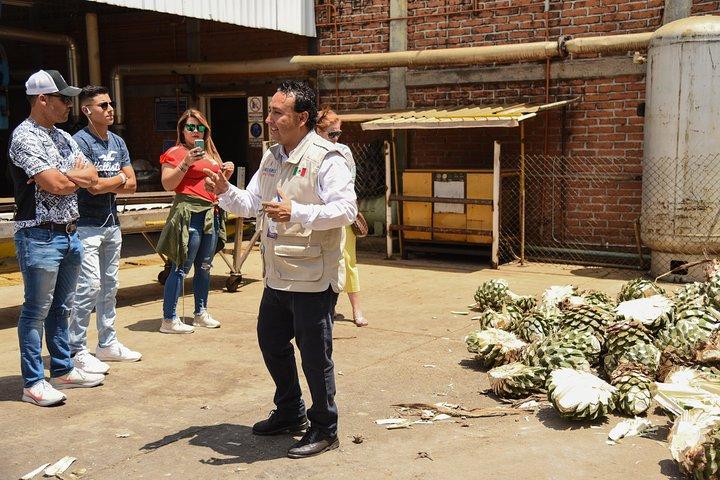 Tequila Route Experience from Guadalajara