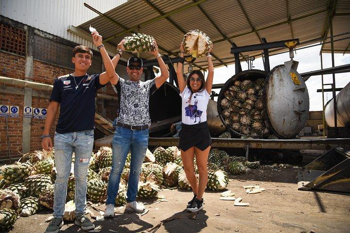 Tequila Route Experience from Guadalajara