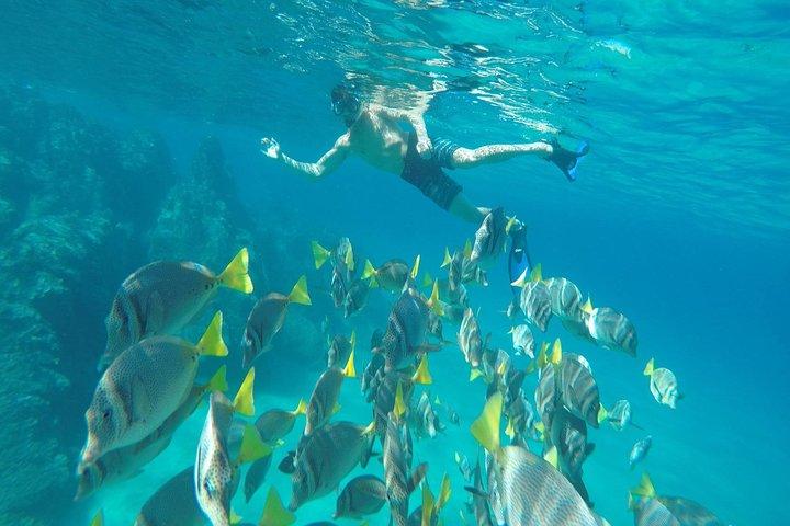 Land's End and Snorkel Tour in a Glass Bottom Boat
