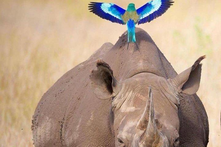 3-Day Lodge Safari-Tarangire, Manyara, Ngorongoro Crater