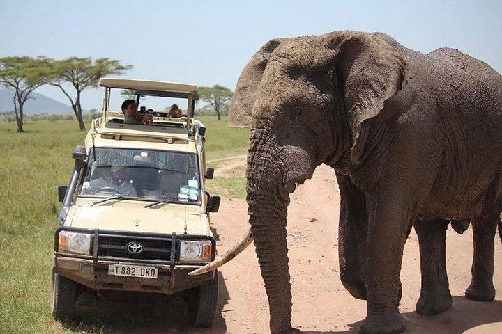 3-Day Lodge Safari-Tarangire, Manyara, Ngorongoro Crater