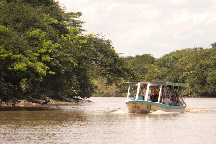 Palo Verde Boat Safari + Coffee & Culture – Wildlife & Flavor