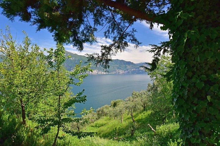 City Escape: Lake Garda Private Day Trip from Verona
