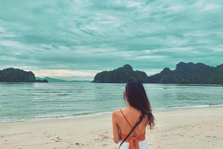 Discover Langkawi Like a local Include Mangrove Tours