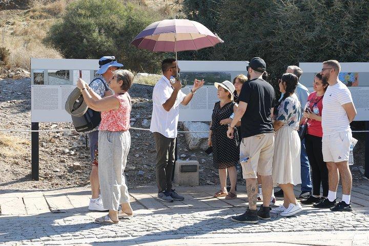 Small Group Ephesus Tour from Kusadasi or Selcuk