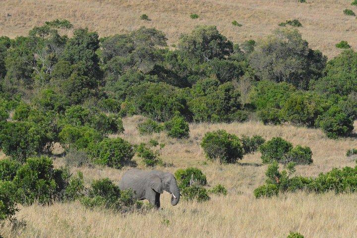 3 Days Masai Mara Safari
