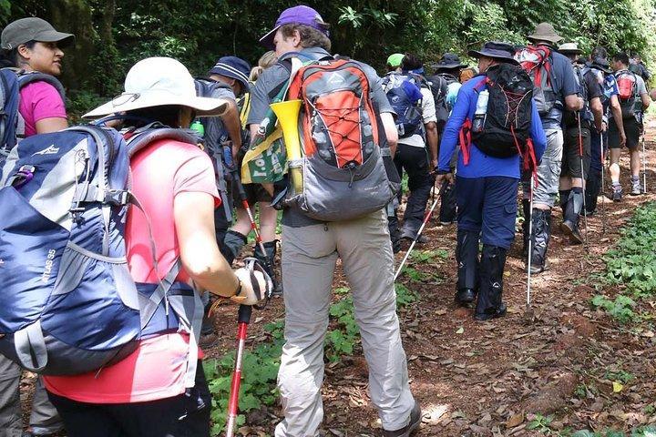 1 Day Kilimanjaro Hike Machame Route