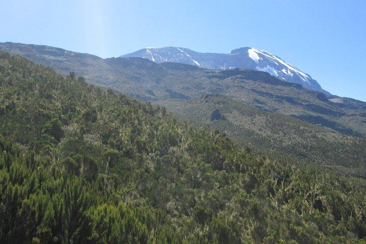 1 Day Kilimanjaro Hike Machame Route