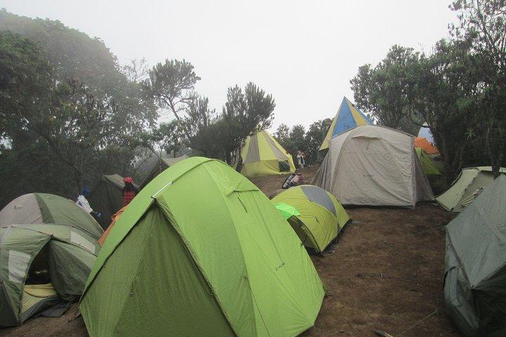 1 Day Kilimanjaro Hike Machame Route