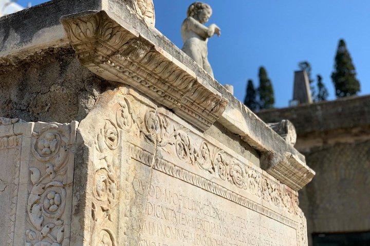 Exclusive Herculaneum tour with Expert!