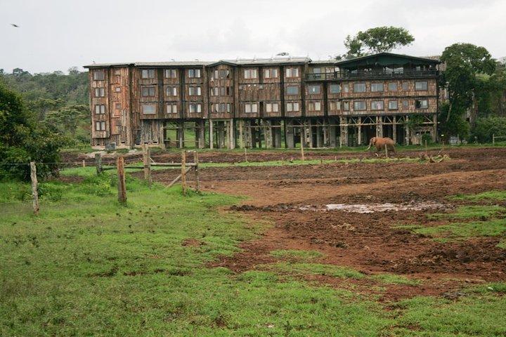 Aberdares/ Lake Nakuru/ Masai Mara 5 Days Lodge Safari