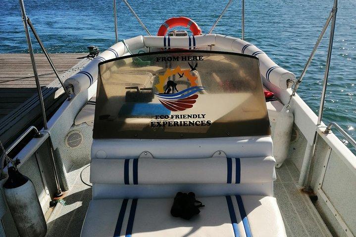 Faro Relax Tour on Solar Boat Ria Formosa