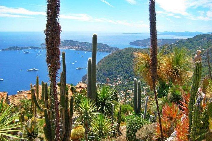 Excursion partagée Eze, Monaco & Monte Carlo from Nice