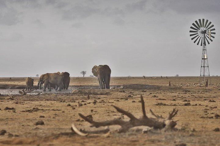 Amboseli/ Tsavo West/ Tsavo East 5 Days Safari