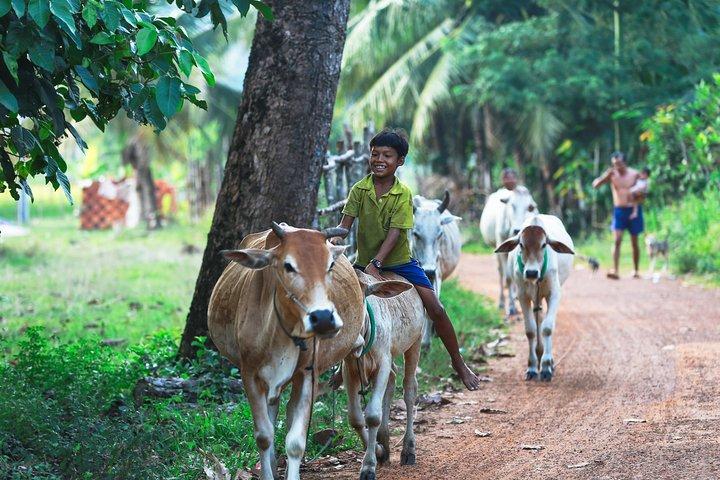 Lifestyle Tour with Homestay - 2 Days 1 Night