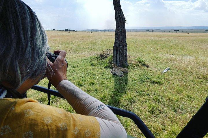 5 Days Safari to Serengeti, Ngorongoro, Tarangire from Arusha