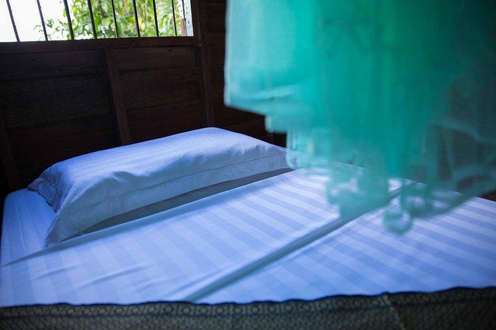 Lifestyle Tour with Homestay - 2 Days 1 Night