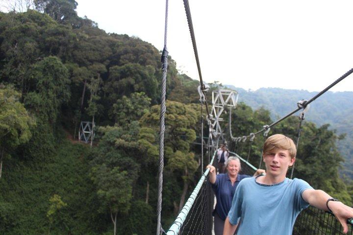 1 Day Canopy walk way in Nyungwe Natioinal park