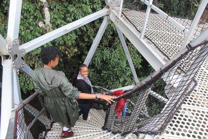 1 Day Canopy walk way in Nyungwe Natioinal park