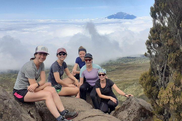 KILIMANJARO MACHAME ROUTE, (Climb 7days) "Whiskey" route