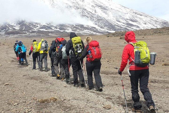 CLIMB THE KILIMANJARO rongai route